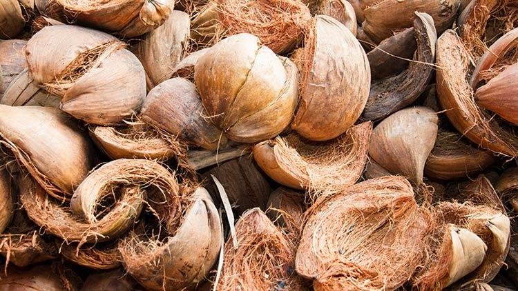 Raw coconut husk material supplied by Nila Coir Factory